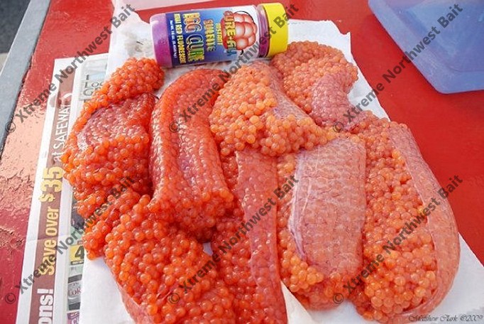 Fresh Salmon Eggs, Cure-All Bait Cure, Fishing Bait